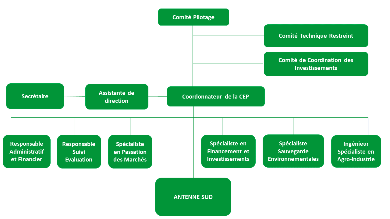 Organigramme de l'UCN