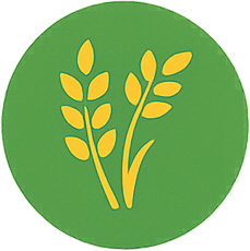 Riz