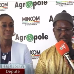 Visite de l’Honorable député Cheikh Bara NDIAYE au PNDAS