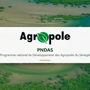 PNDAS – Programme national de Développement des Agropoles du Sénégal